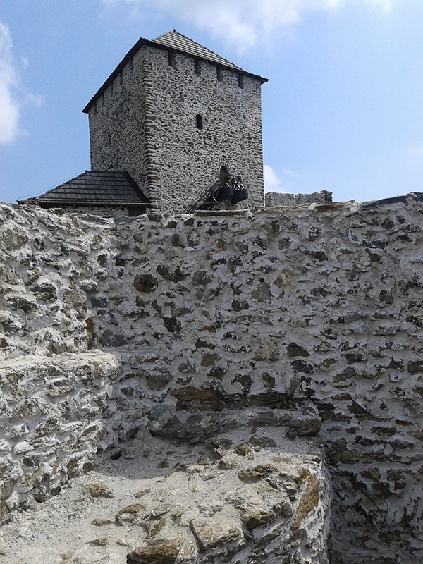 VRSACKE PLANINE - Lisicija glava